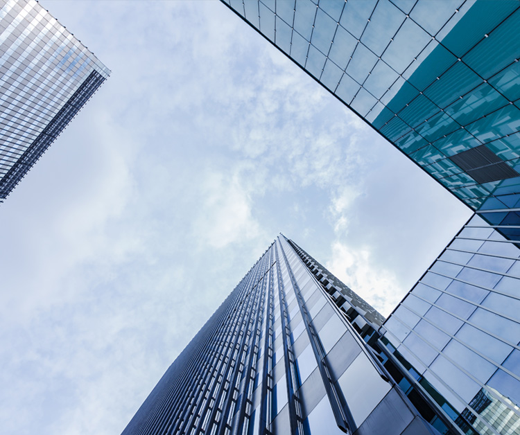 企業(yè)簡(jiǎn)介